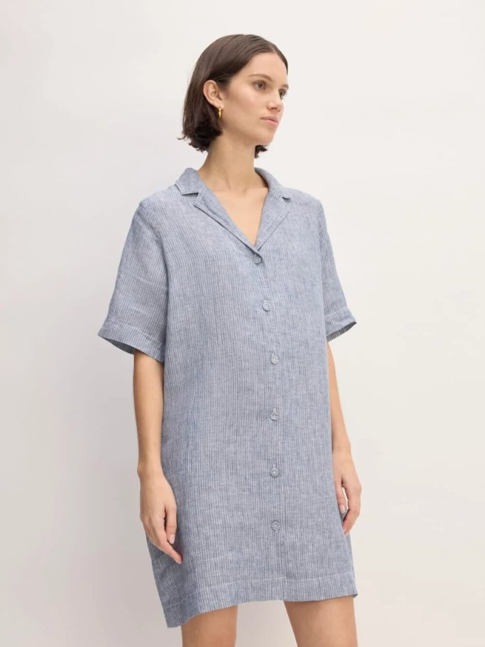 Everlane The Shirtdress in Linen
